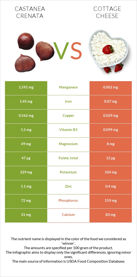 Castanea crenata vs Cottage cheese infographic