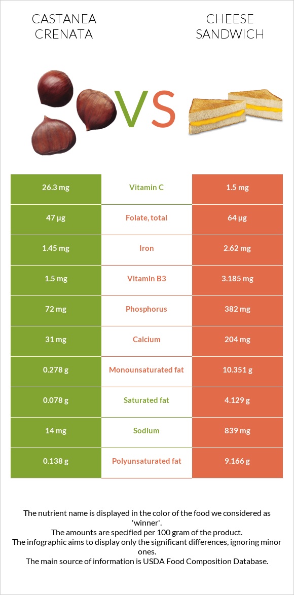 Castanea crenata vs Cheese sandwich infographic