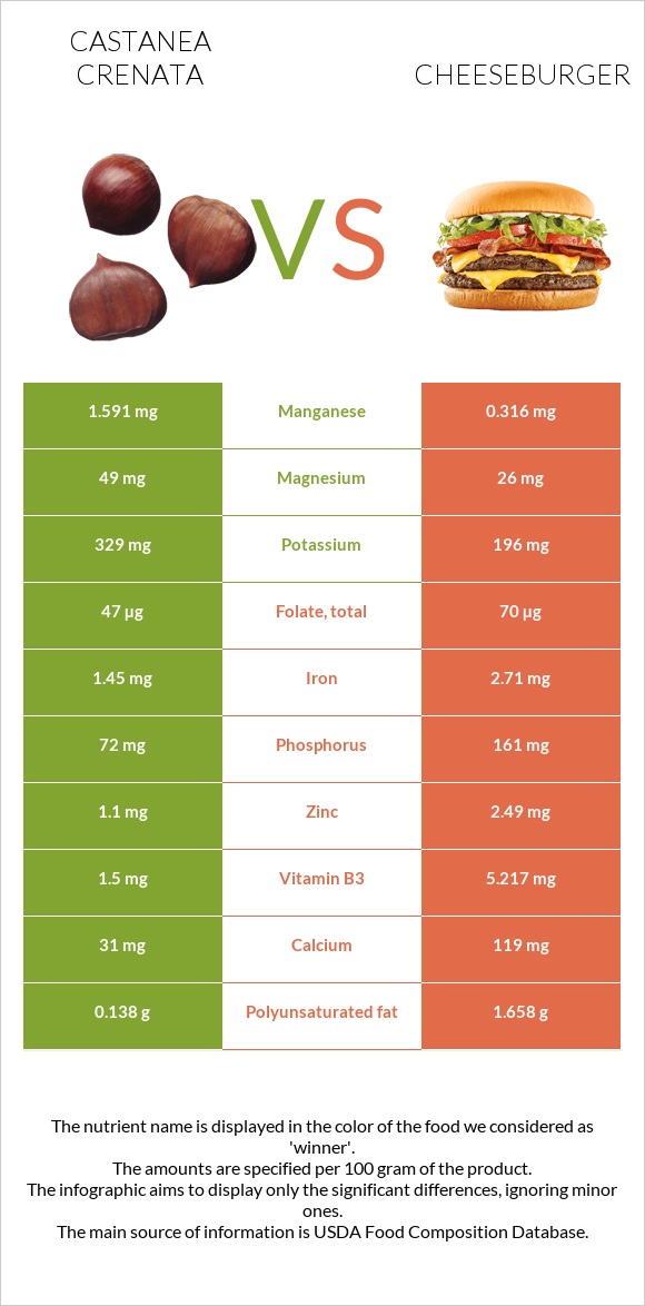 Castanea crenata vs Cheeseburger infographic