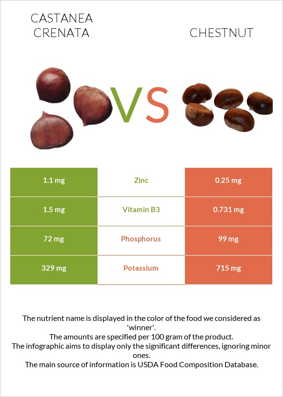 Castanea crenata vs Chestnut infographic