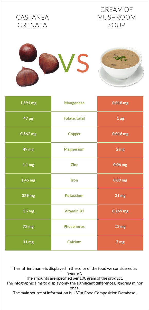 Castanea crenata vs Cream of mushroom soup infographic