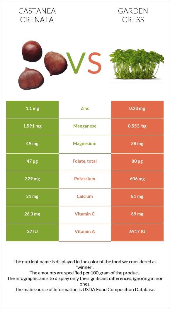 Շագանակ (crenata) vs Garden cress infographic