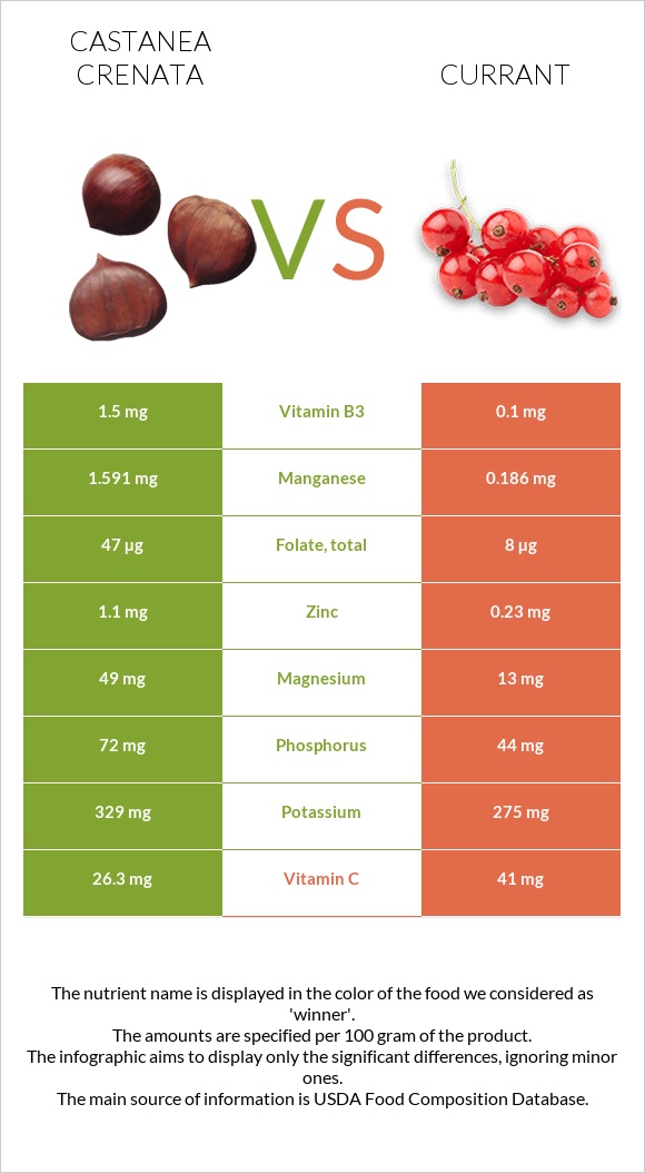 Castanea crenata vs Currant infographic