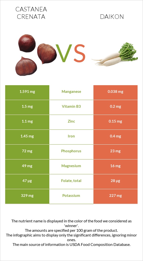 Castanea crenata vs Daikon infographic