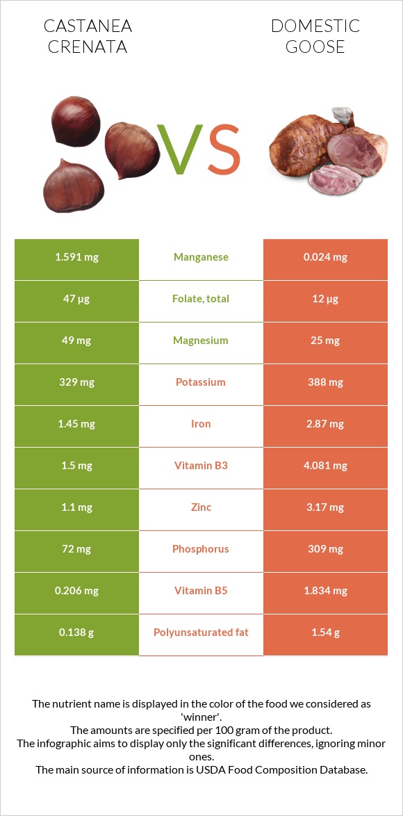 Castanea crenata vs Domestic goose infographic