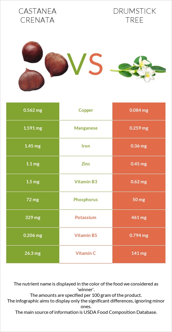 Շագանակ (crenata) vs Drumstick tree infographic