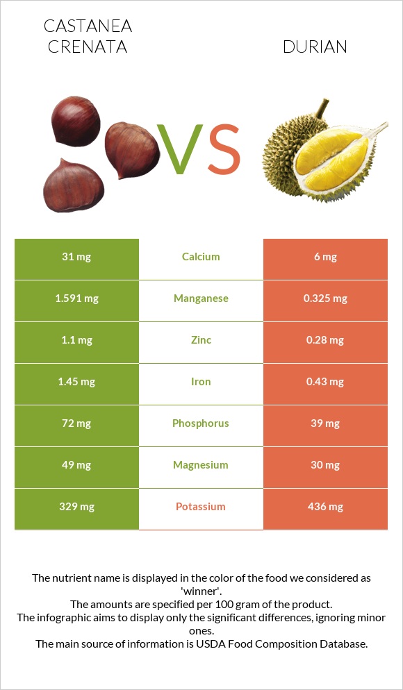 Castanea crenata vs Durian infographic