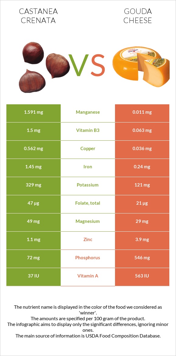 Castanea crenata vs Gouda cheese infographic