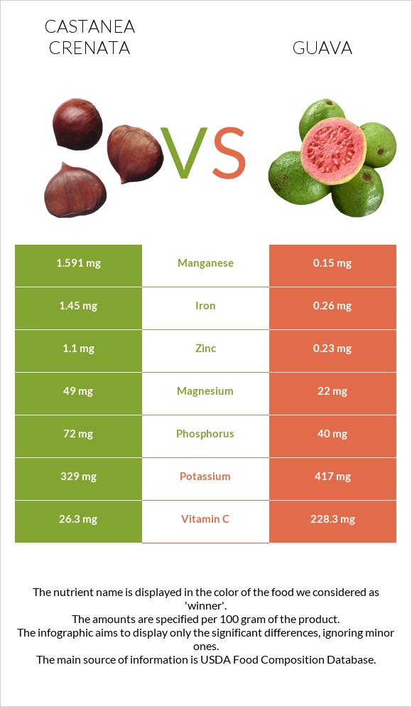 Castanea crenata vs Guava infographic