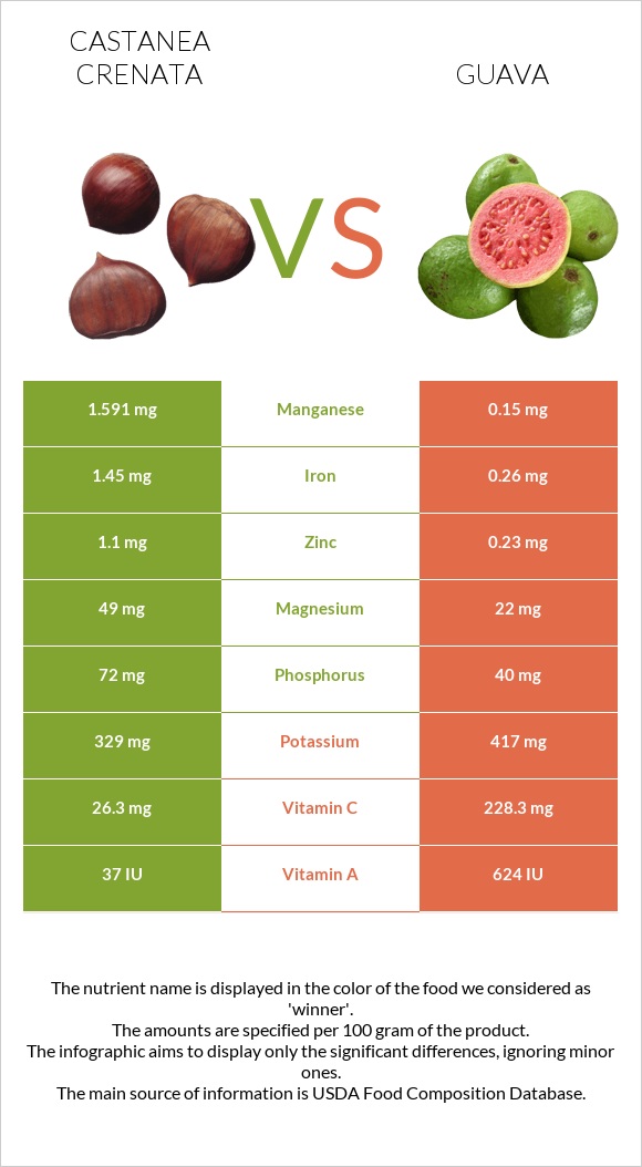 Castanea crenata vs Guava infographic