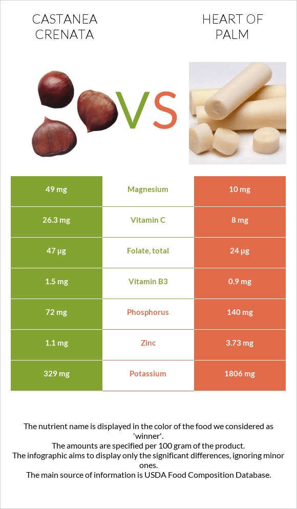 Castanea crenata vs Heart of palm infographic