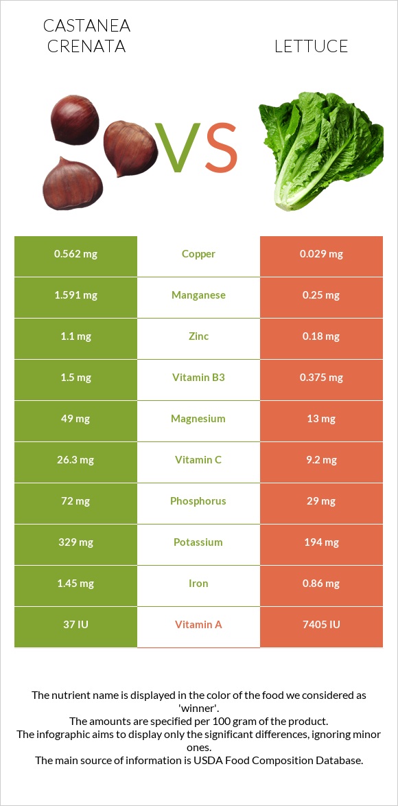 Castanea crenata vs Lettuce infographic