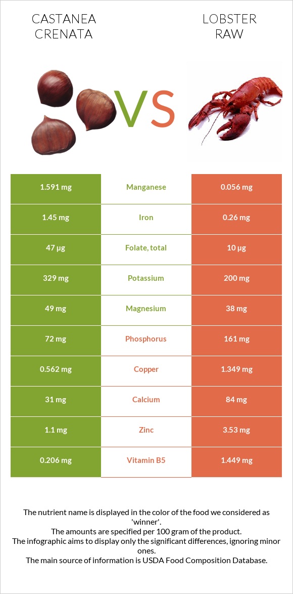 Castanea crenata vs Lobster Raw infographic
