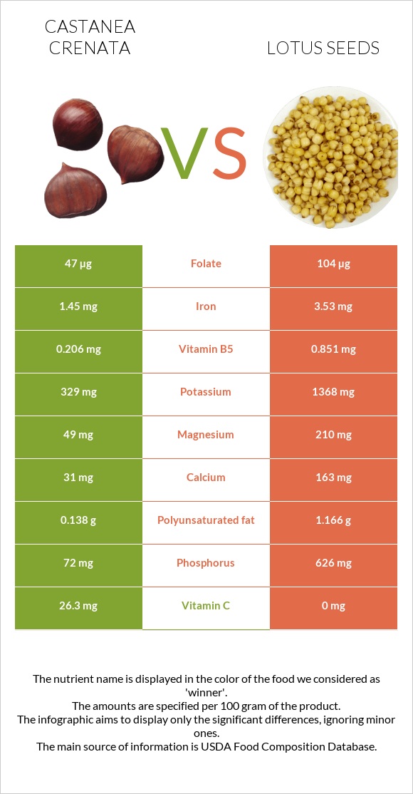 Շագանակ (crenata) vs Lotus seeds infographic