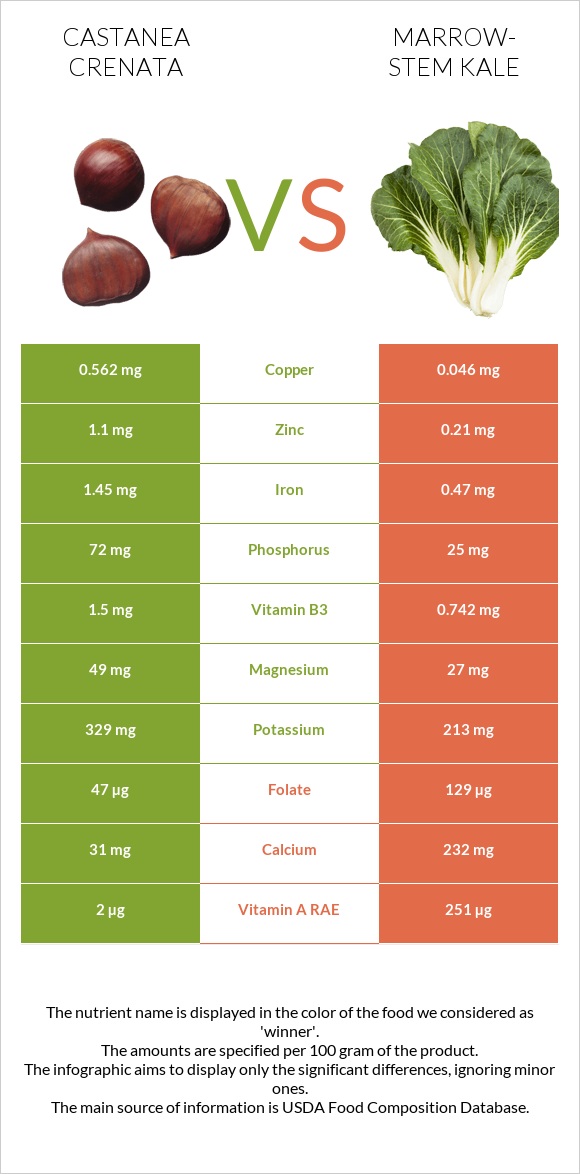 Castanea crenata vs Marrow-stem Kale infographic