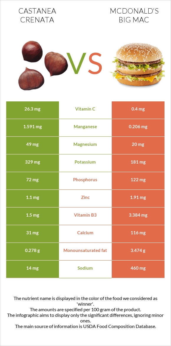 Castanea crenata vs McDonald's Big Mac infographic