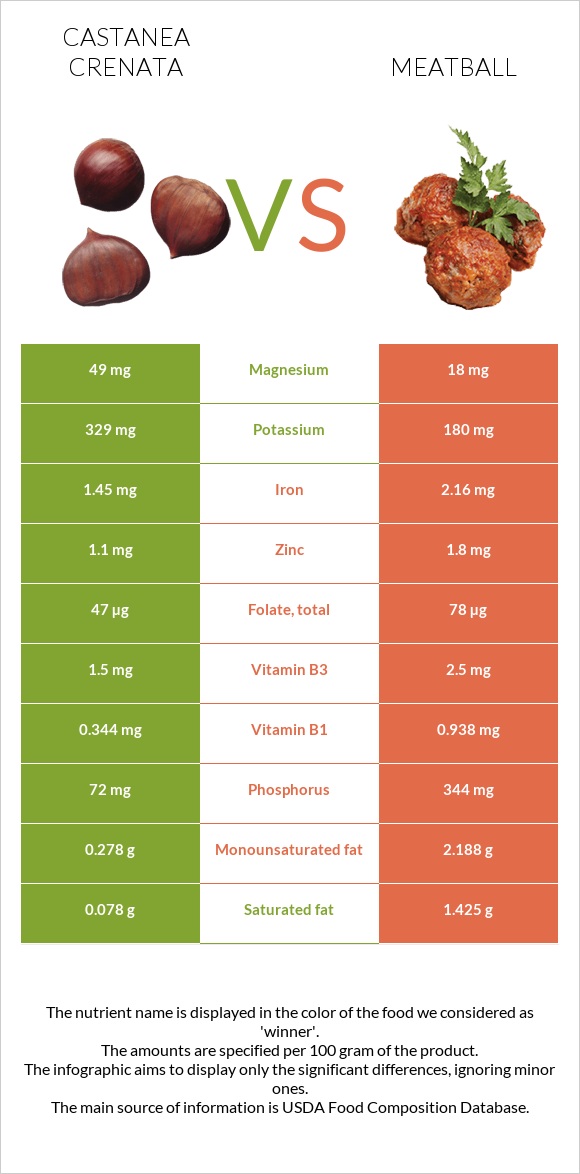 Castanea crenata vs Meatball infographic