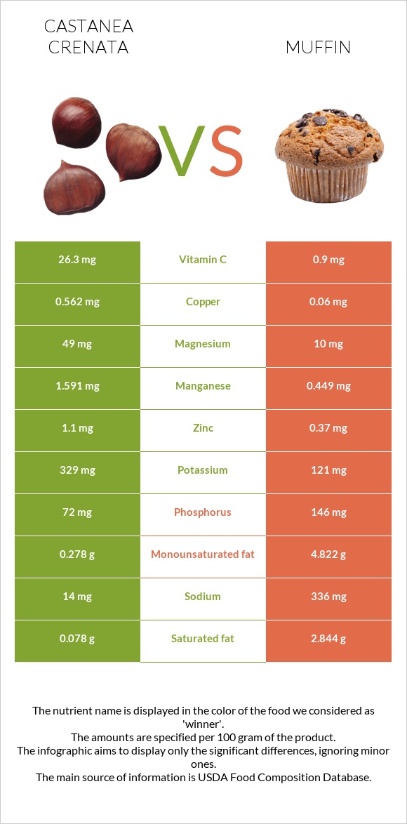 Castanea crenata vs Muffin infographic