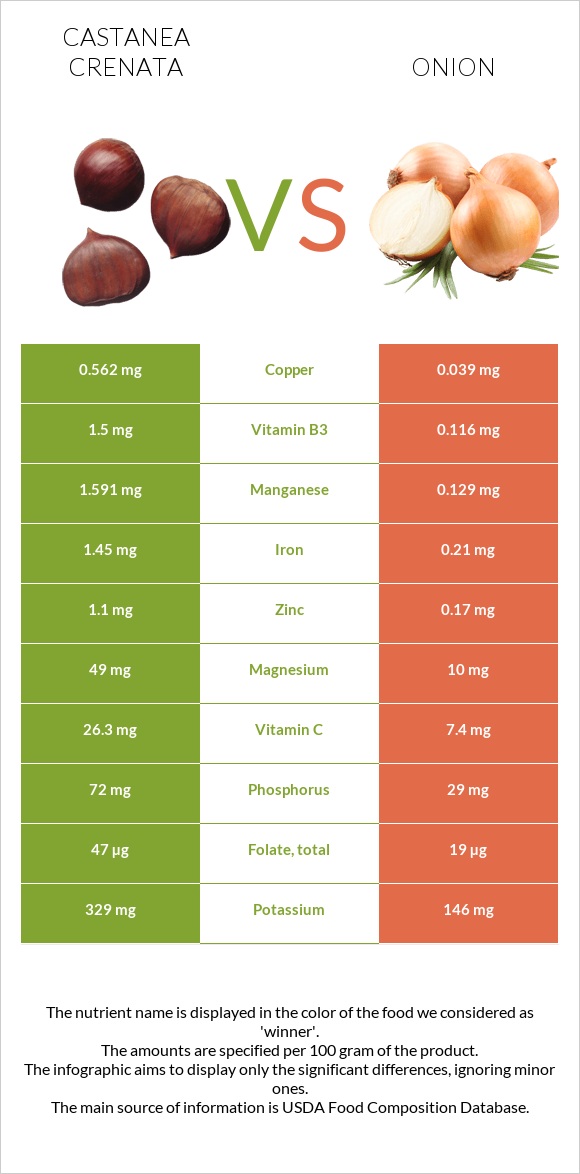 Castanea crenata vs Onion infographic
