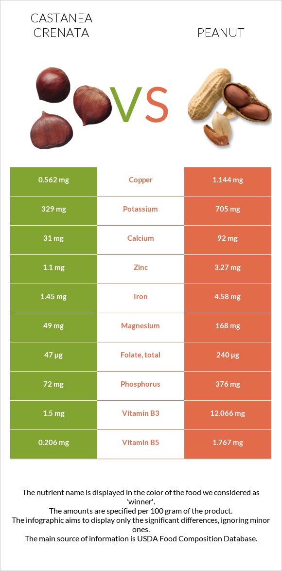 Castanea crenata vs Peanut infographic
