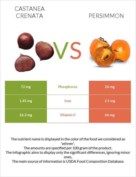 Castanea crenata vs Persimmon infographic