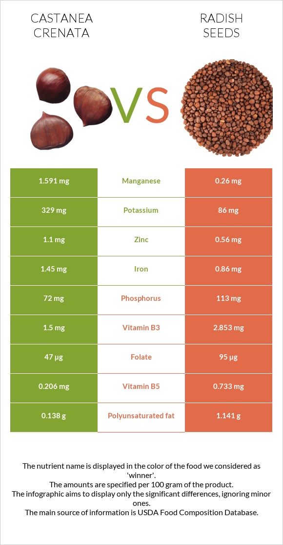 Castanea crenata vs Radish seeds infographic