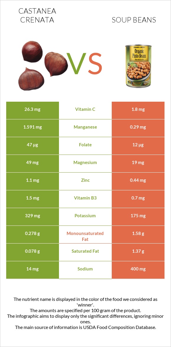 Castanea crenata vs Soup beans infographic