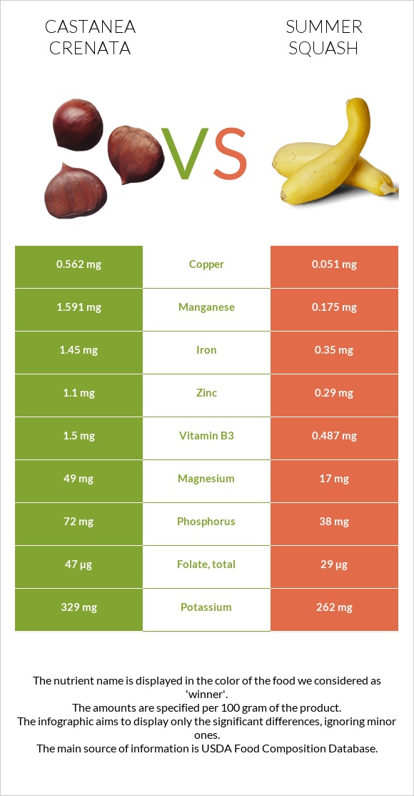 Castanea crenata vs Summer squash infographic