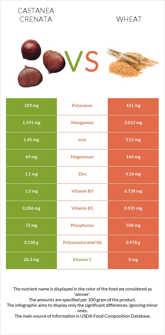 Castanea crenata vs Wheat  infographic