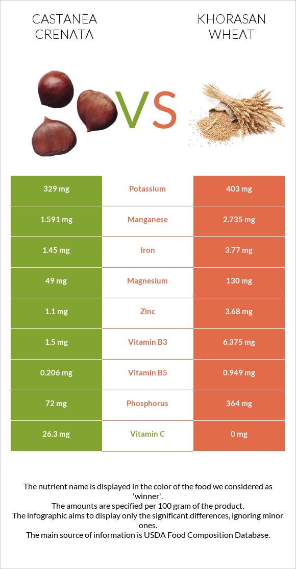 Castanea crenata vs Khorasan wheat infographic