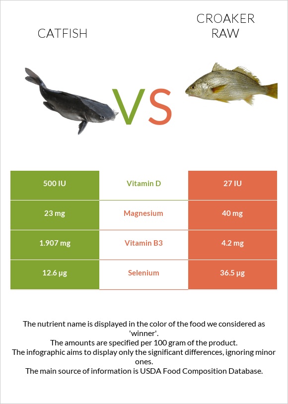 Catfish vs Croaker raw infographic