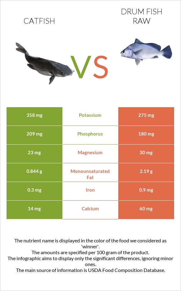 Catfish vs Drum fish raw infographic