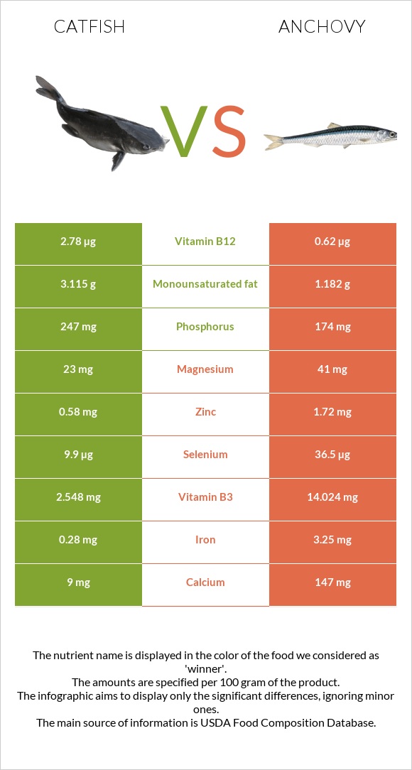 Catfish vs Anchovy infographic