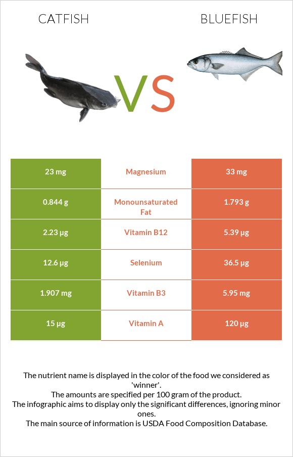 Catfish vs Bluefish infographic