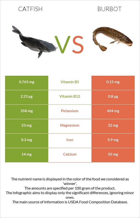 Catfish vs Burbot infographic