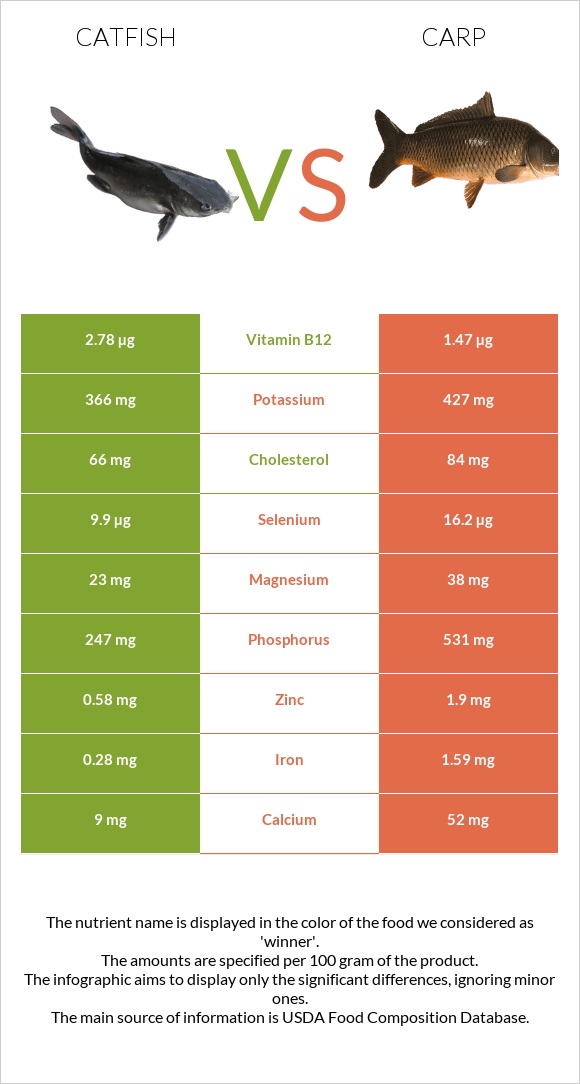 Catfish vs Carp infographic
