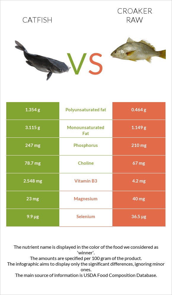 Catfish vs Croaker raw infographic