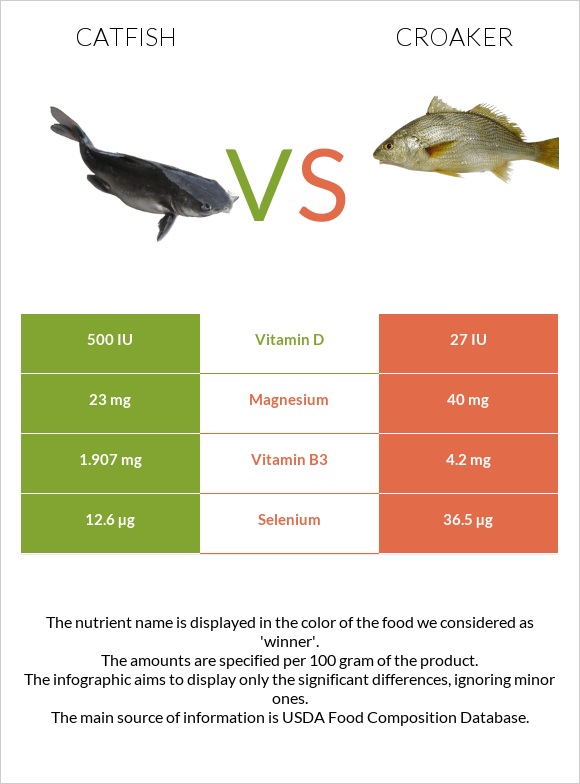 Catfish vs Croaker infographic