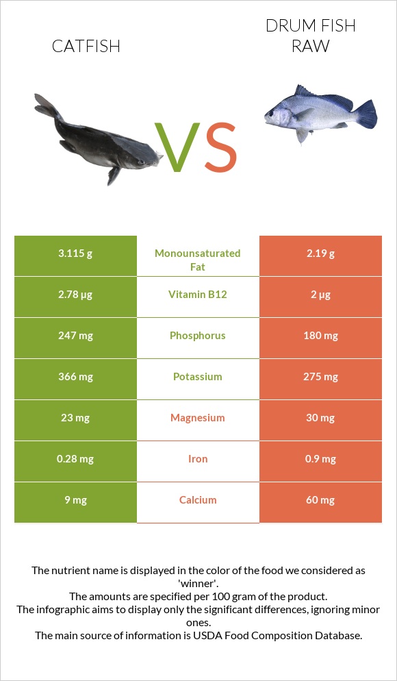 Catfish vs Drum fish raw infographic