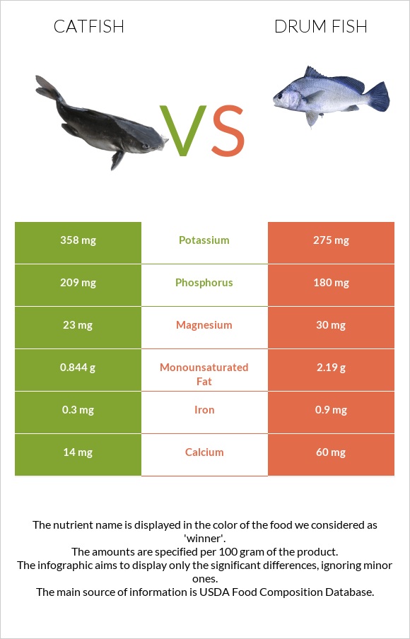 Catfish vs Drum fish infographic