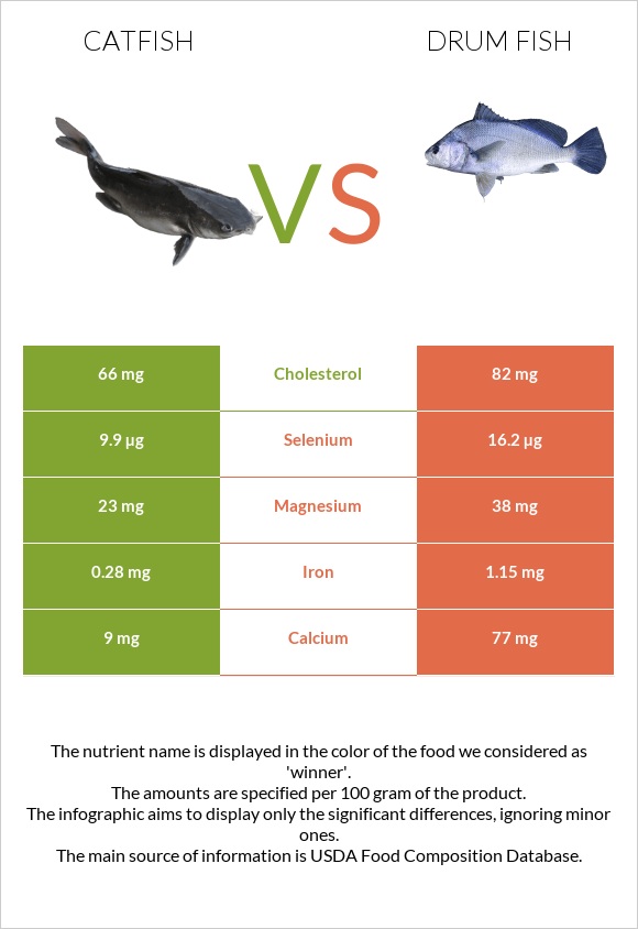 Catfish vs Drum fish infographic