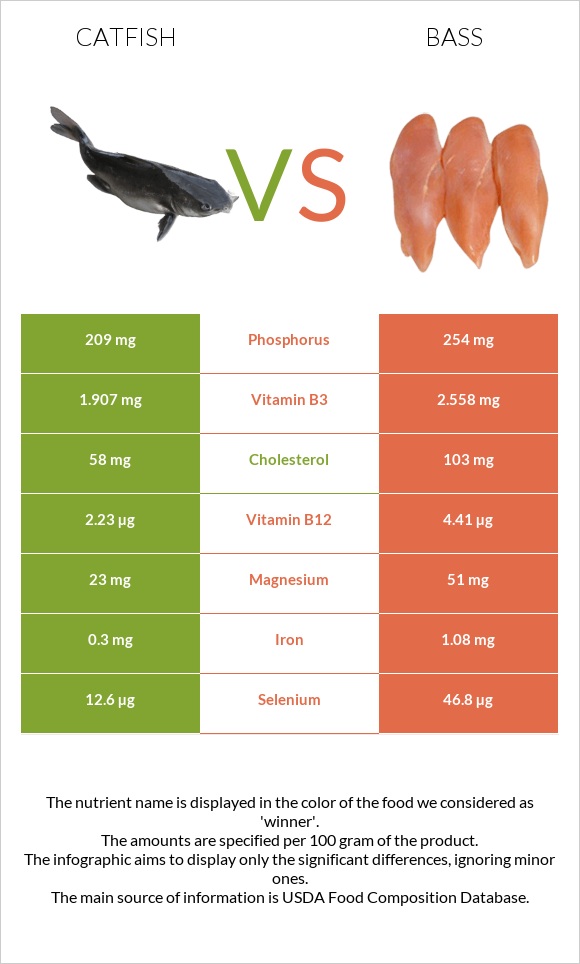 Catfish vs Bass infographic