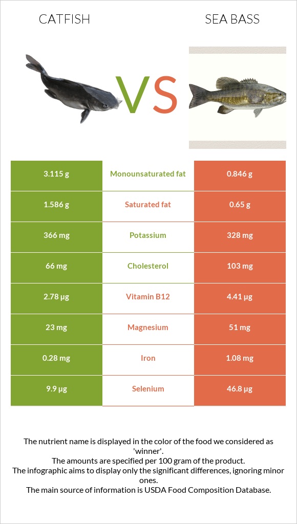 Catfish vs Sea bass infographic