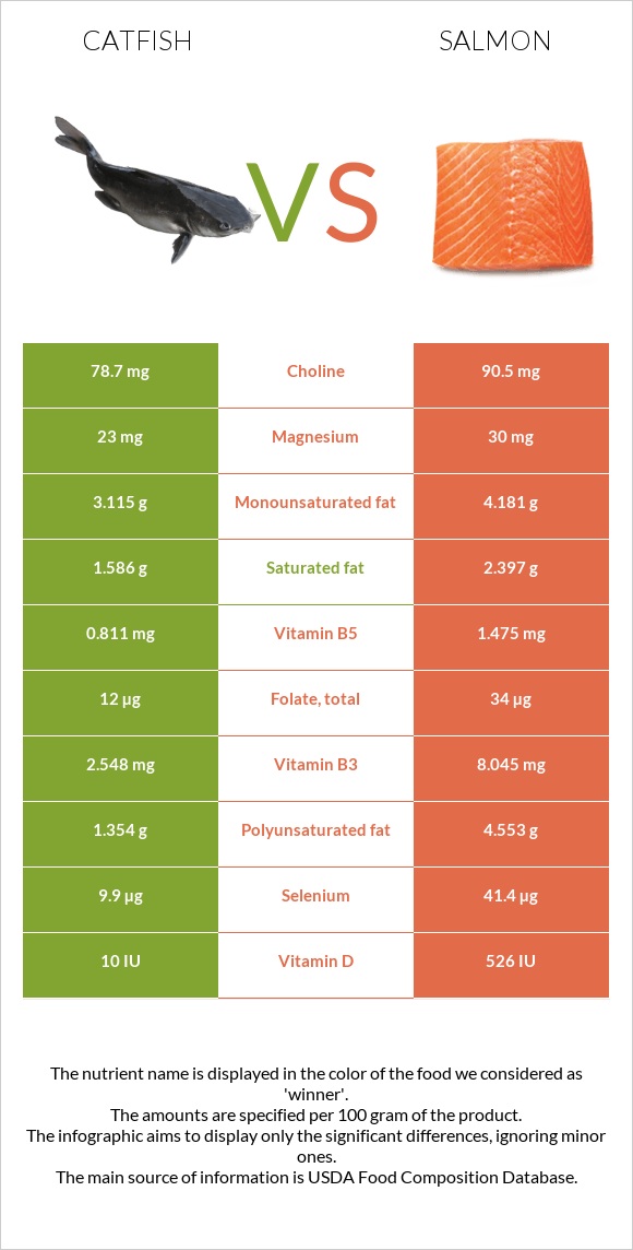 Catfish vs Salmon infographic