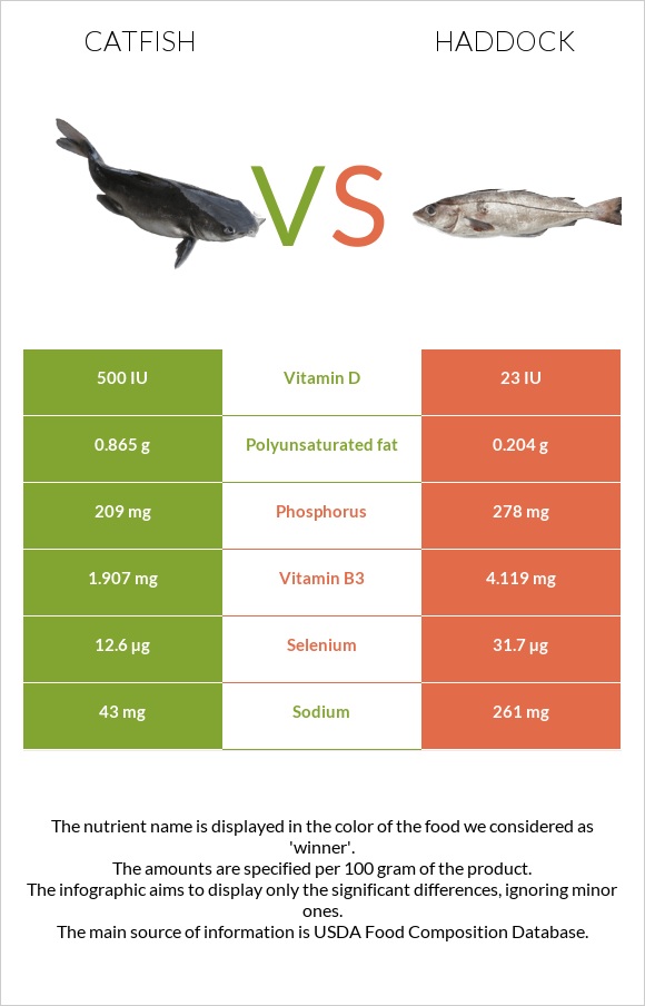 Catfish vs Haddock infographic