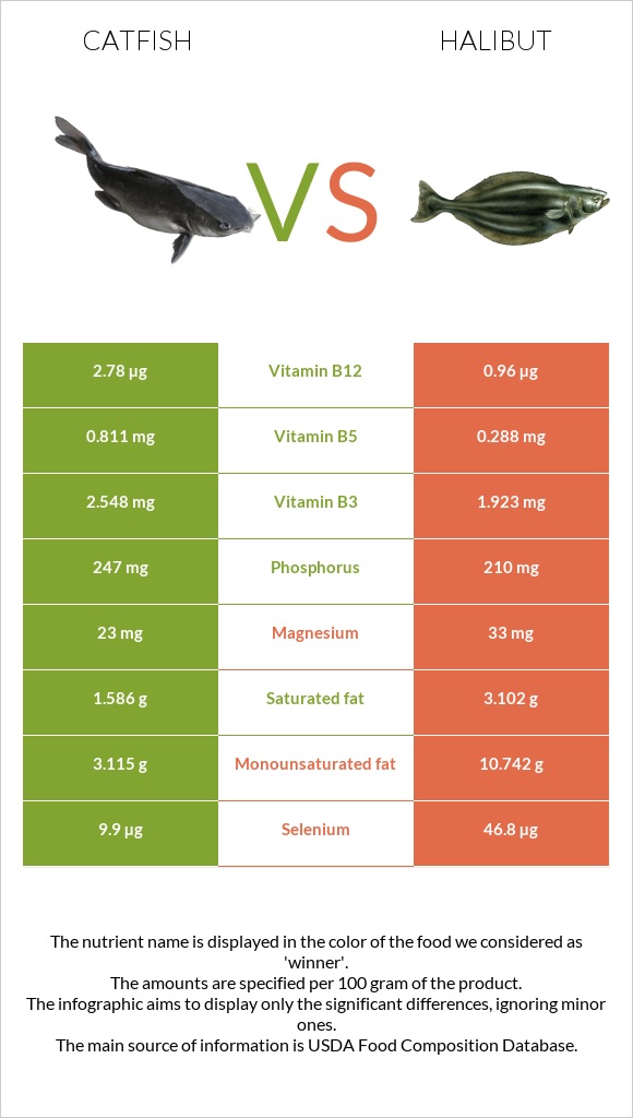 Catfish vs Halibut infographic