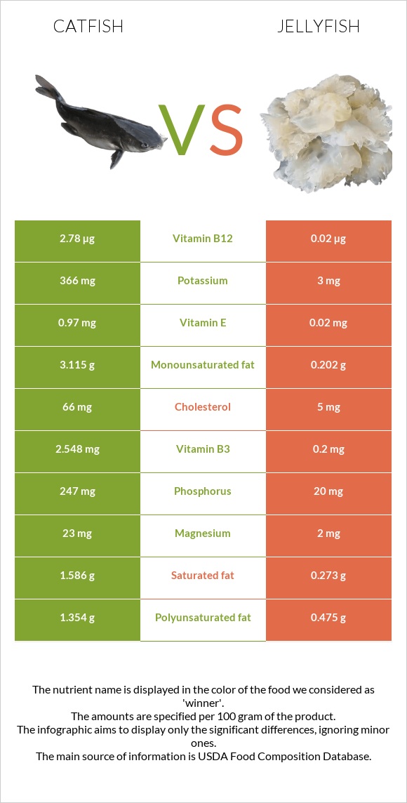 Catfish vs Jellyfish infographic