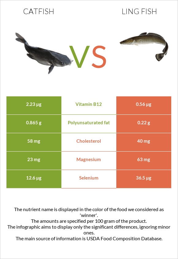 Catfish vs Ling fish infographic