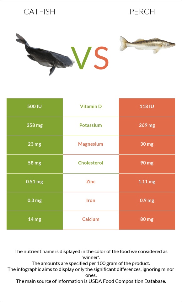 Catfish vs Perch infographic