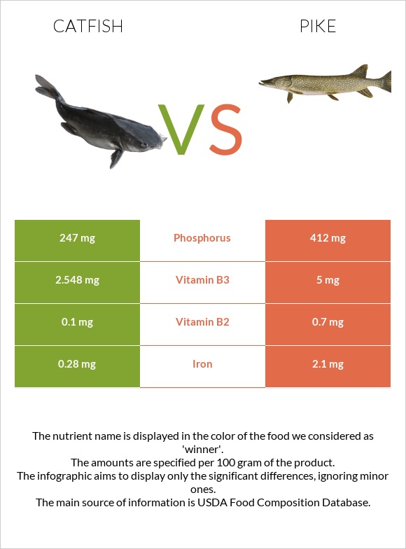 Catfish vs Pike infographic